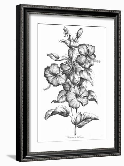 Crimson Hibiscus-Porter Design-Framed Giclee Print