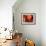 Crimson Leaf-Nicole Katano-Framed Photo displayed on a wall