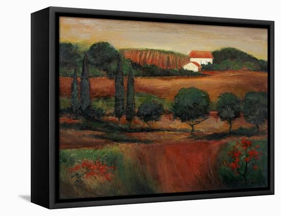 Crimson Light in Tuscany-John Zaccheo-Framed Premier Image Canvas