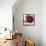 Crimson Peony I-Asia Jensen-Framed Stretched Canvas displayed on a wall