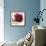 Crimson Peony I-Asia Jensen-Framed Art Print displayed on a wall