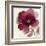 Crimson Peony II-Asia Jensen-Framed Art Print