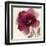 Crimson Peony II-Asia Jensen-Framed Art Print