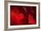 Crimson Petals I-Rita Crane-Framed Photographic Print