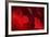 Crimson Petals I-Rita Crane-Framed Photographic Print