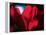 Crimson Petals-Howard Ruby-Framed Premier Image Canvas