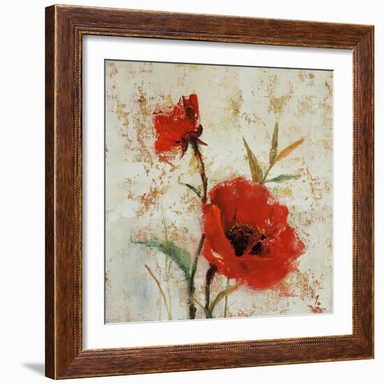 Crimson Poppies I-Tim O'toole-Framed Giclee Print