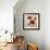 Crimson Poppies II-Tim O'toole-Framed Giclee Print displayed on a wall