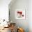 Crimson Poppy 2-Marysia-Framed Giclee Print displayed on a wall