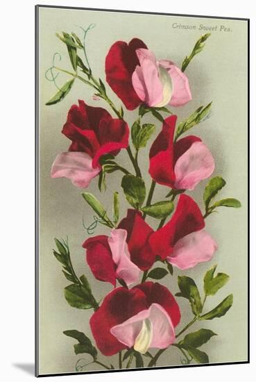 Crimson Sweet Peas-null-Mounted Art Print