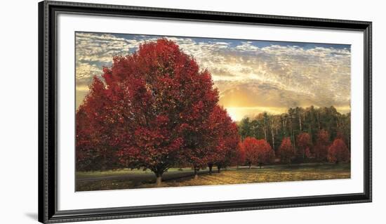 Crimson Trees-Celebrate Life Gallery-Framed Art Print