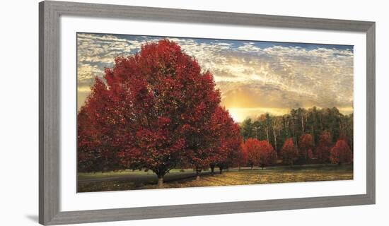 Crimson Trees-Celebrate Life Gallery-Framed Art Print