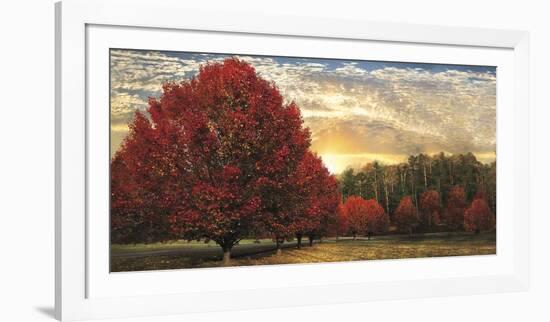 Crimson Trees-Celebrate Life Gallery-Framed Art Print