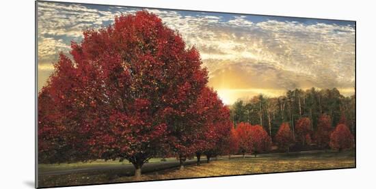 Crimson Trees-Celebrate Life Gallery-Mounted Art Print