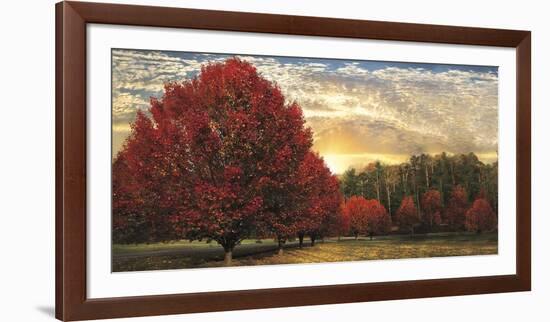 Crimson Trees-Celebrate Life Gallery-Framed Art Print