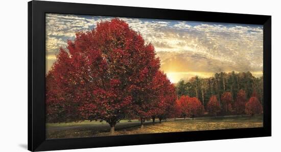 Crimson Trees-Celebrate Life Gallery-Framed Art Print