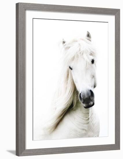 Crin Blanc-Blonde Attitude-Framed Art Print