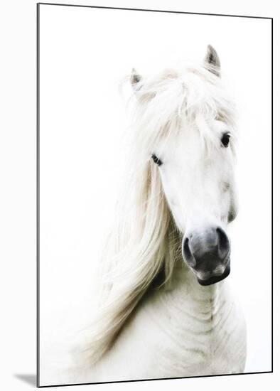 Crin Blanc-Blonde Attitude-Mounted Art Print