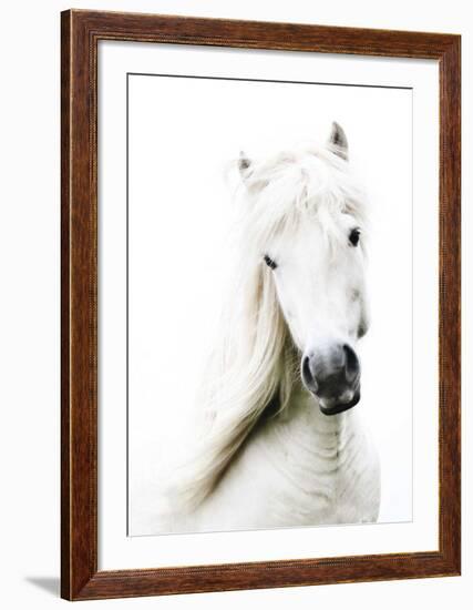 Crin Blanc-Blonde Attitude-Framed Art Print