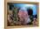 Crinoids Cling to a Large Sponge on a Healthy Coral Reef-Stocktrek Images-Framed Premier Image Canvas