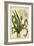 Crinum, Pl. CX-Phillip Miller-Framed Art Print