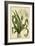 Crinum, Pl. CX-Phillip Miller-Framed Art Print