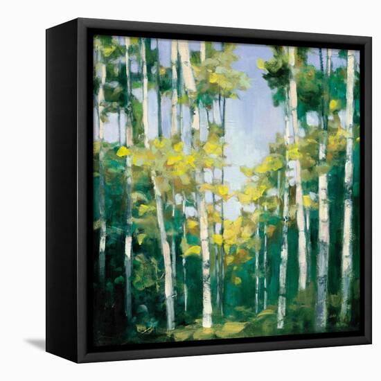 Cripple Creek-Julia Purinton-Framed Stretched Canvas