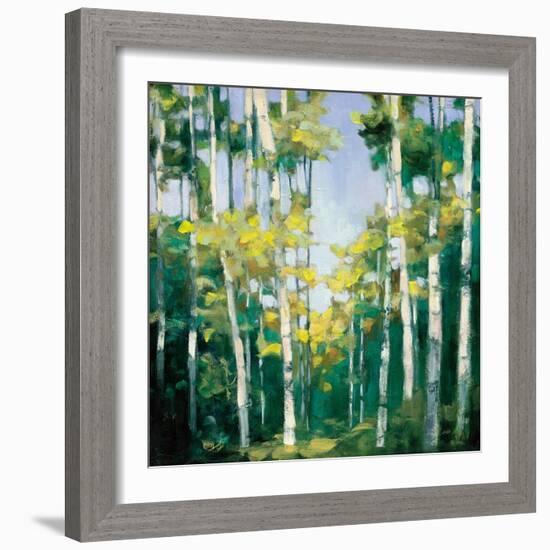 Cripple Creek-Julia Purinton-Framed Art Print