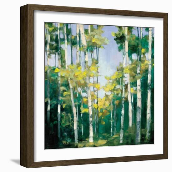 Cripple Creek-Julia Purinton-Framed Art Print