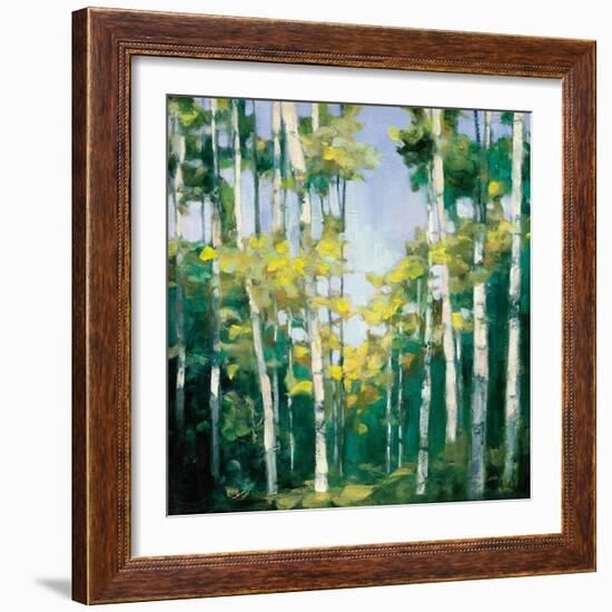 Cripple Creek-Julia Purinton-Framed Art Print