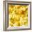 Crisps-Mark Sykes-Framed Premium Photographic Print