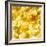 Crisps-Mark Sykes-Framed Premium Photographic Print