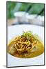 Crispy Noodles and Thai Curry, Chiang Mai, Thailand, Southeast Asia, Asia-Alex Robinson-Mounted Photographic Print