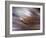 Criss Cross-Felipe Rodriguez-Framed Photographic Print