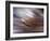 Criss Cross-Felipe Rodriguez-Framed Photographic Print