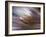 Criss Cross-Felipe Rodriguez-Framed Photographic Print