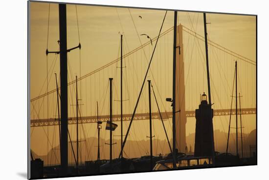 Crissy Field Marina, San Francisco, California-Anna Miller-Mounted Photographic Print