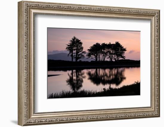 Crissy Field-Richard Wong-Framed Photographic Print