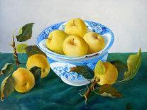 Apples in a Blue Bowl, 2014-Cristiana Angelini-Framed Premier Image Canvas