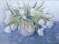White Tulips-Cristiana Angelini-Giclee Print