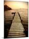 Premium Photographic Print