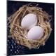 Premium Photographic Print