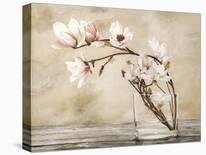 Fiori di magnolia-Cristina Mavaracchio-Framed Art Print