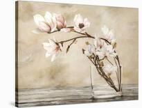 Bouquet-Cristina Mavaracchio-Stretched Canvas