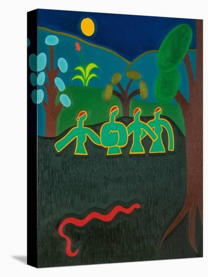 Stretched Canvas Print, , large