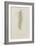 Crithida Thalassina: Marine Worm-Philip Henry Gosse-Framed Giclee Print