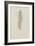 Crithida Thalassina: Marine Worm-Philip Henry Gosse-Framed Giclee Print