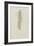 Crithida Thalassina: Marine Worm-Philip Henry Gosse-Framed Giclee Print