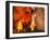 Cro-Magnon Man-Volker Steger-Framed Photographic Print