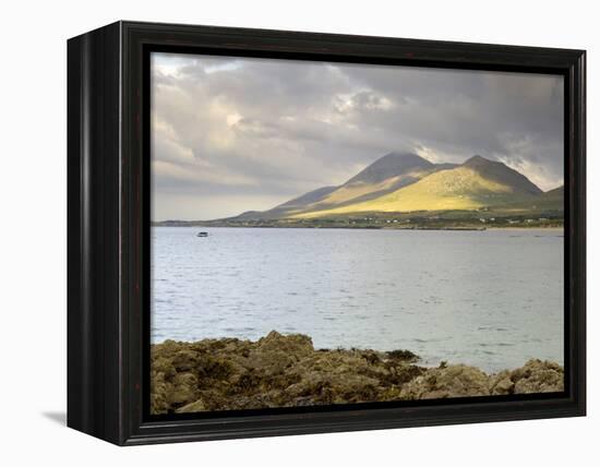 Croagh Patrick Mountain and Clew Bay, from Old Head, County Mayo, Connacht, Republic of Ireland-Gary Cook-Framed Premier Image Canvas